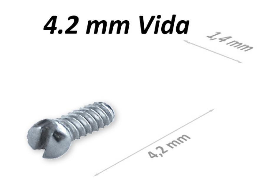 Gözlük Vida VC42B14 X100